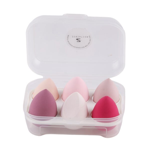 Zensation Beauty Blender 6 in 1